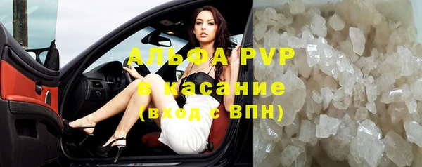 стаф Ладушкин