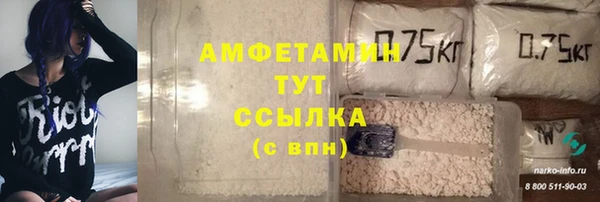 стаф Ладушкин
