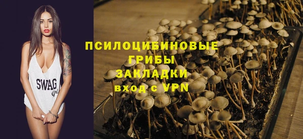 не бодяженный Лабытнанги