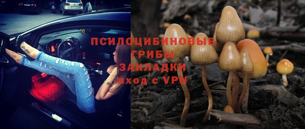 не бодяженный Лабытнанги