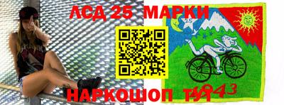 индика Кулебаки