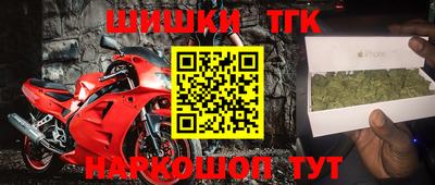 индика Кулебаки