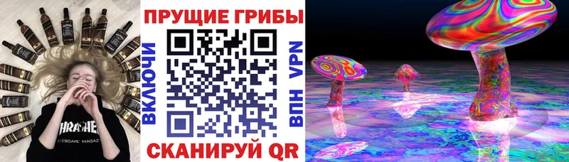 где продают наркотики  Черемхово  OMG   Псилоцибиновые грибы прущие грибы 
