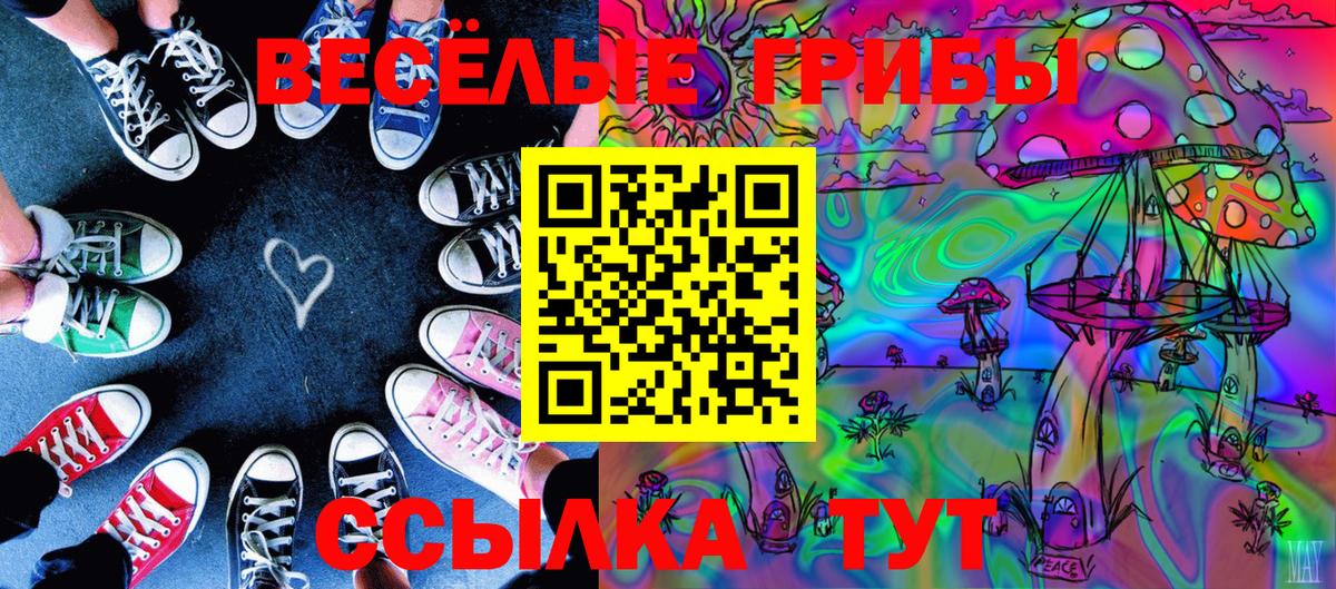 Черемхово  Псилоцибиновые грибы ЛСД  Псилоцибиновые грибы прущие грибы  купить наркотики сайты  Вход с VPN 